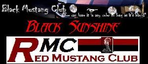 STMC banner.JPG